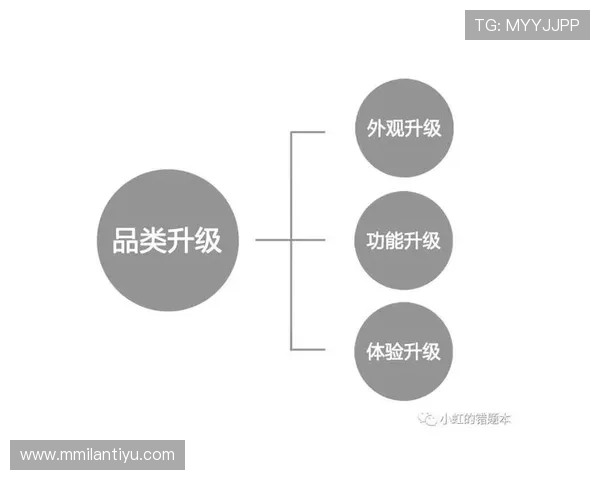 米兰官方网站最新版与旧版本的区别与升级建议